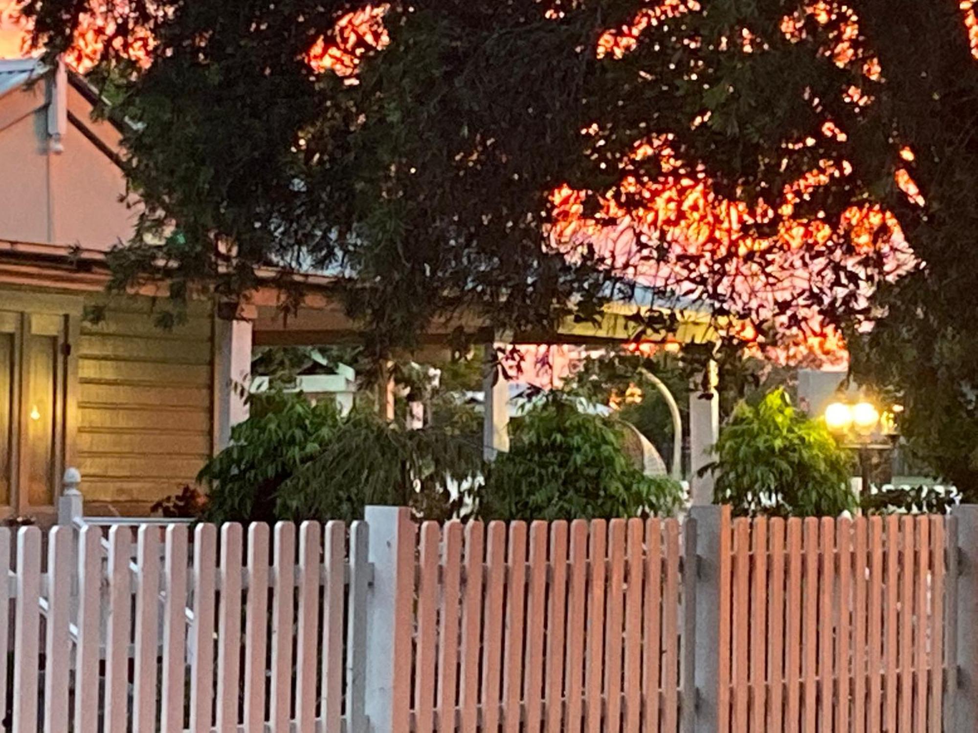 Birches B&B Taree Exterior foto
